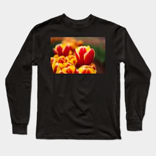 Red and Yellow Tulip Long Sleeve T-Shirt